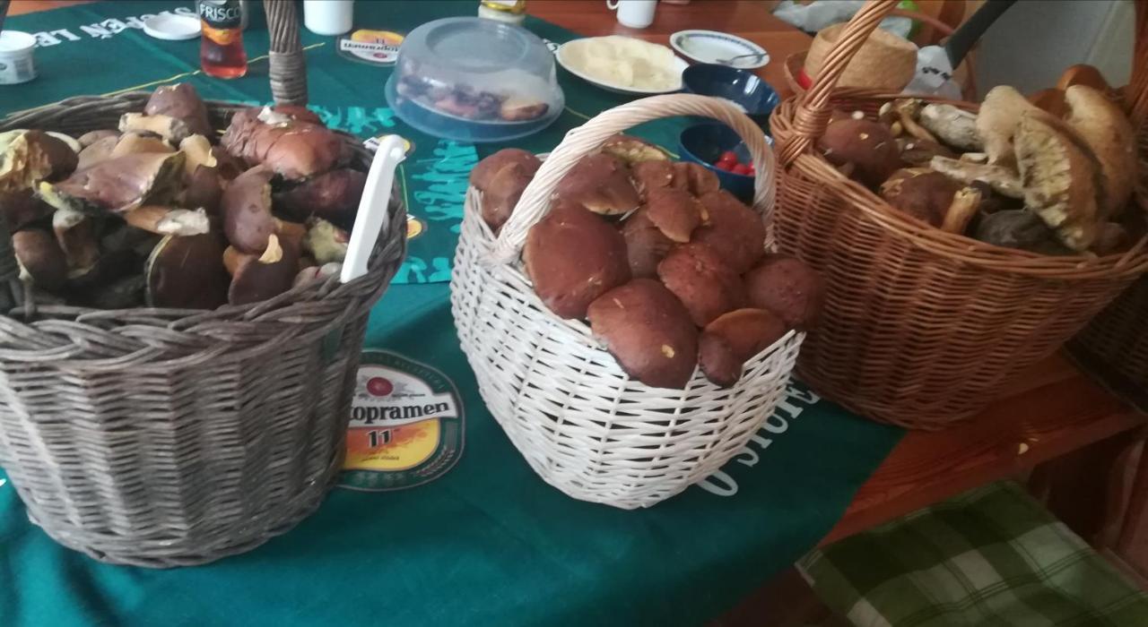 הוילה Horní Maršov Sedmikraska מראה חיצוני תמונה
